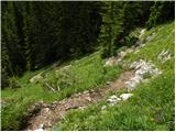 Koča pri Savici - The lake Rjavo jezero